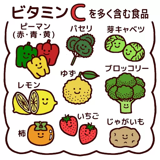 素材　ビタミンC　食材